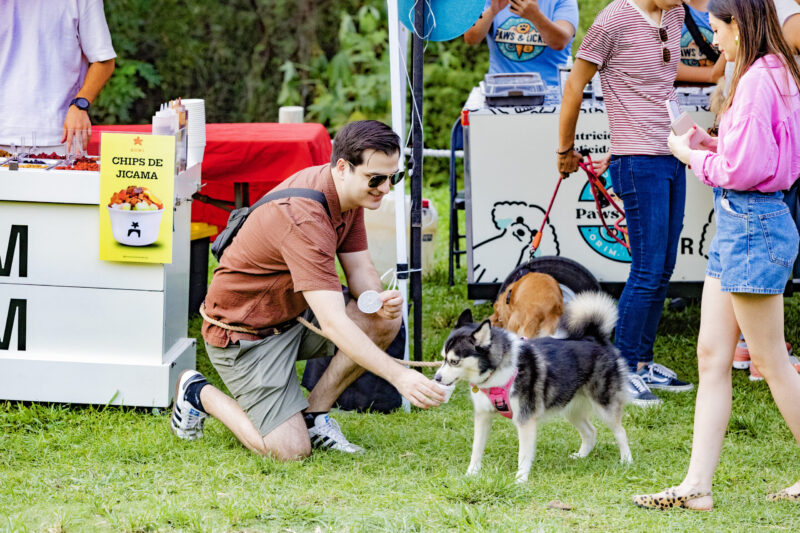 Festival Canino 6