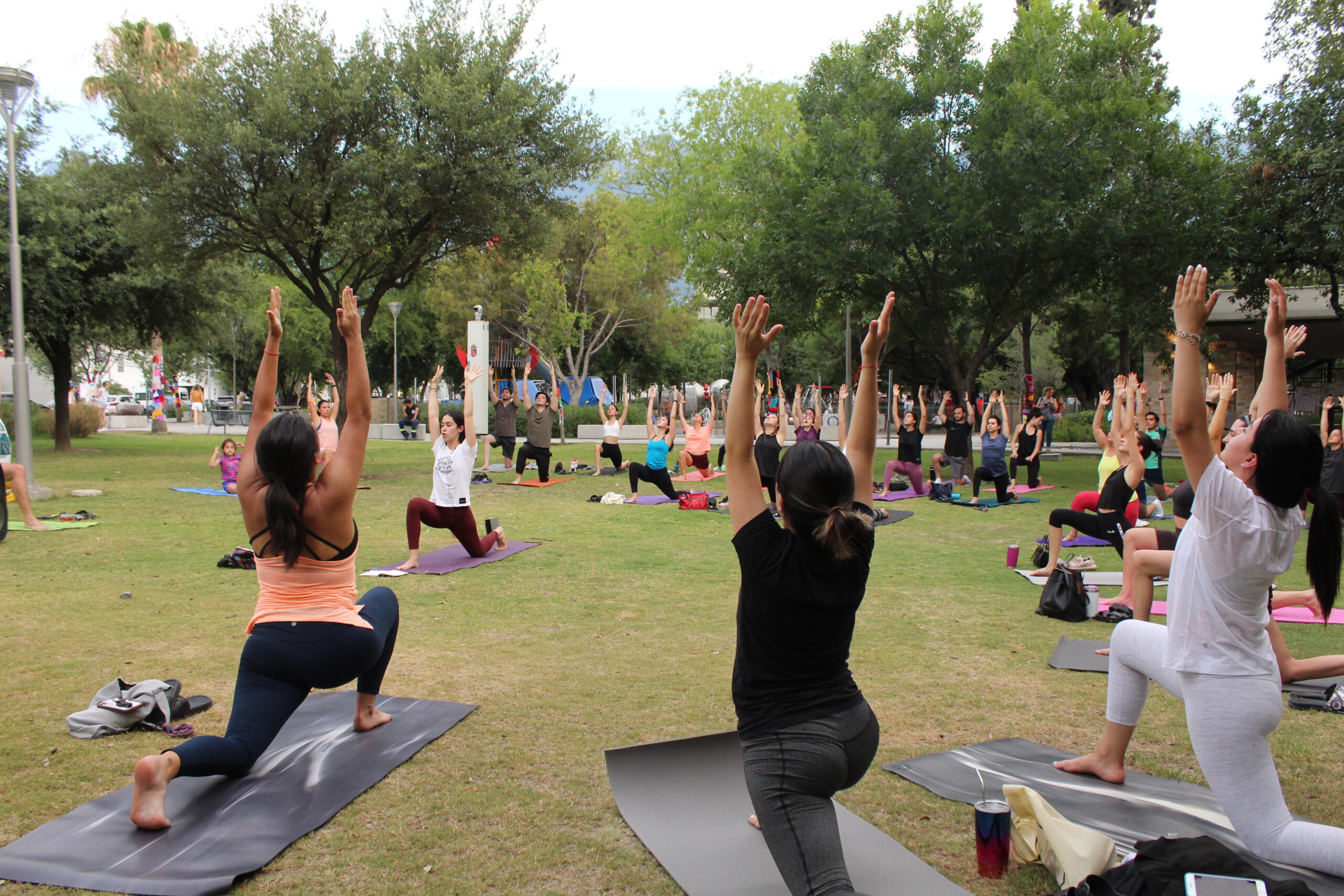 Vinyasa Yoga