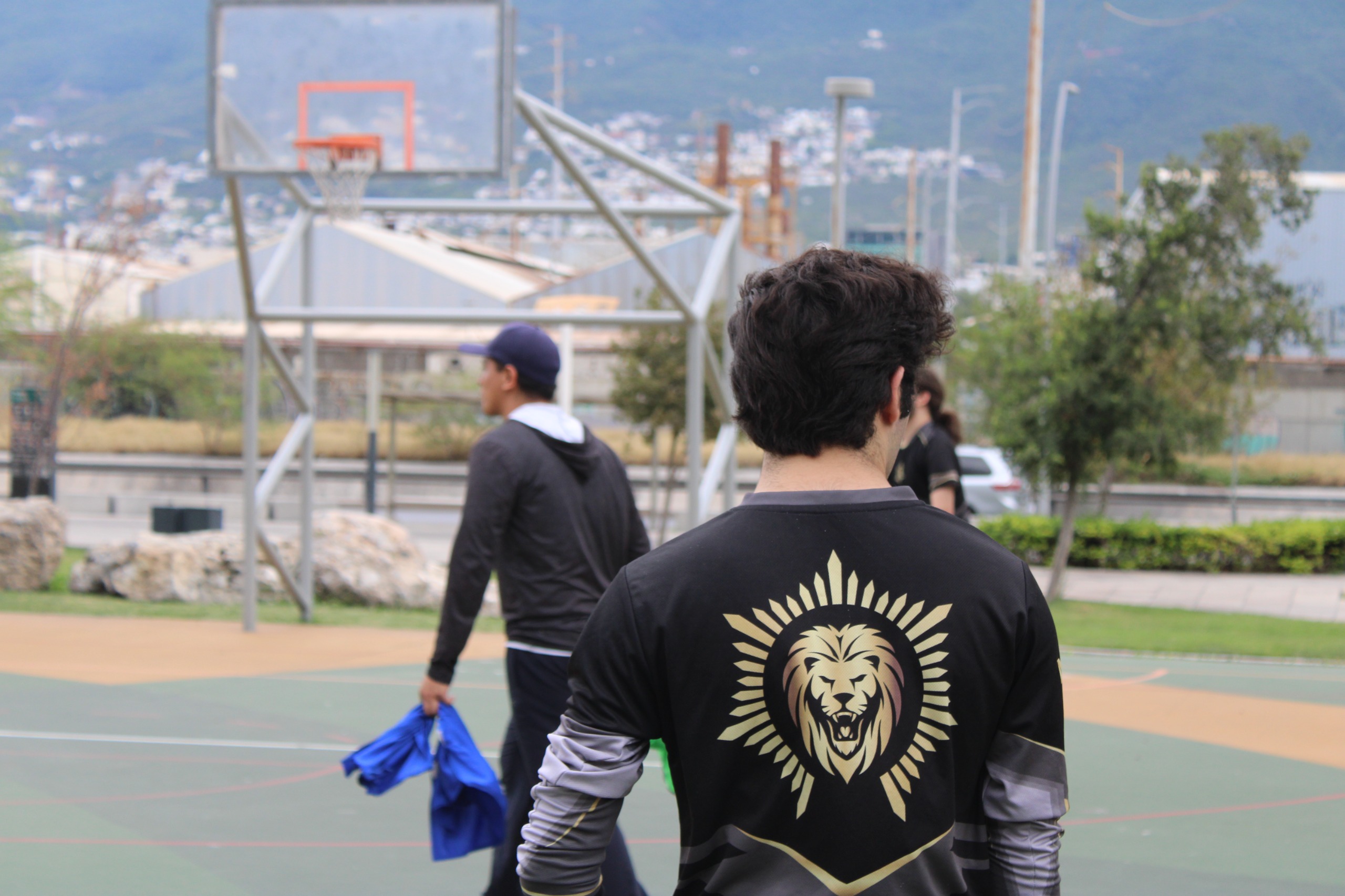 Softcombat leones