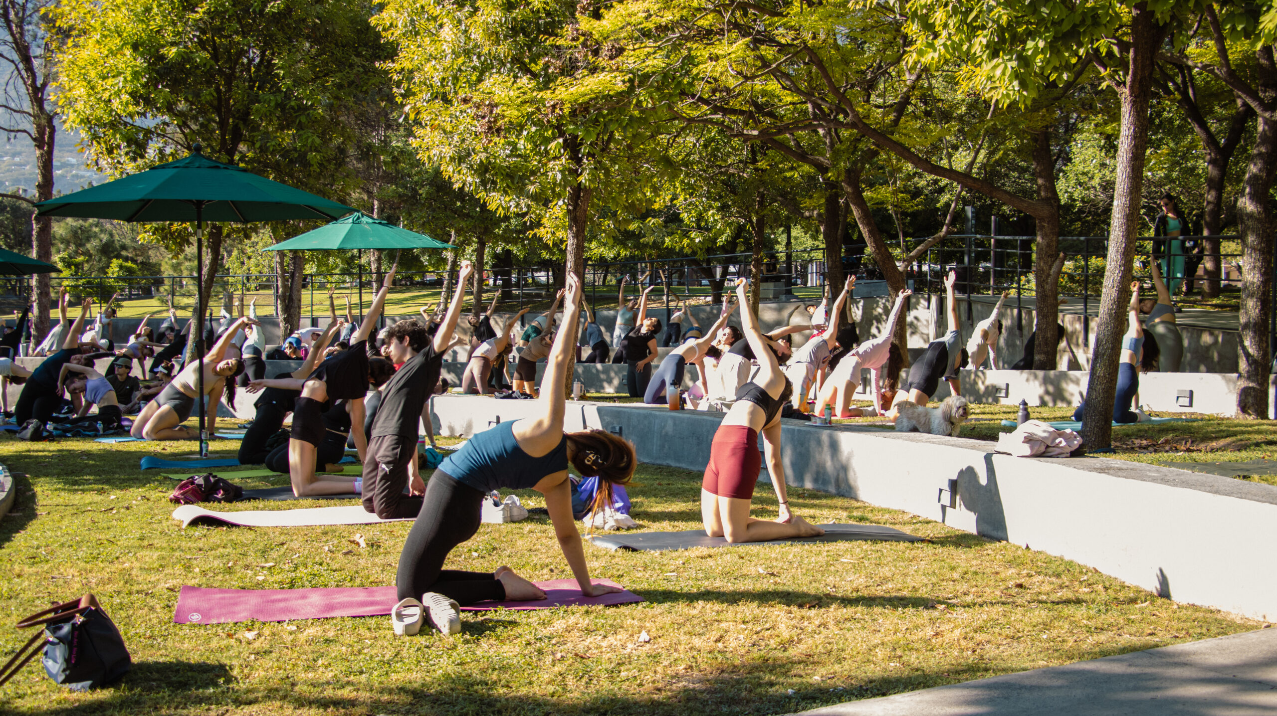 Yoga shanti